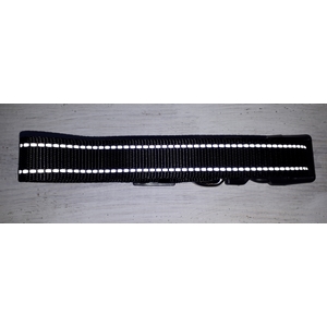 Halsband hond maat L met naam - Afbeelding 4