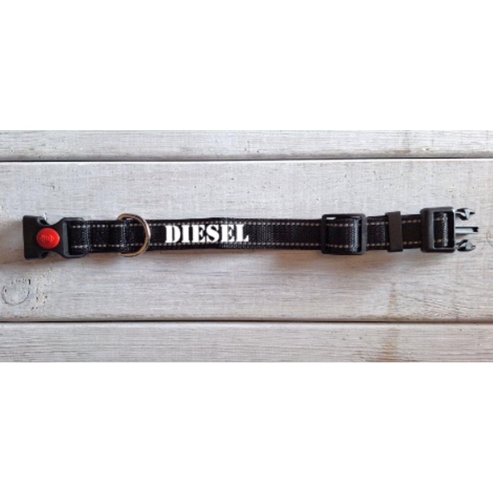 Halsband hond maat S met naam - Afbeelding 2